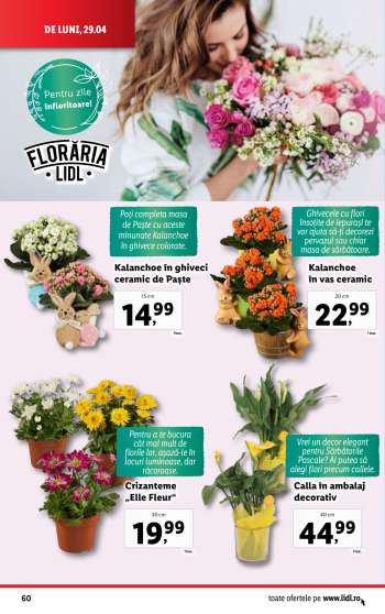 thumbnail - Flori și plante