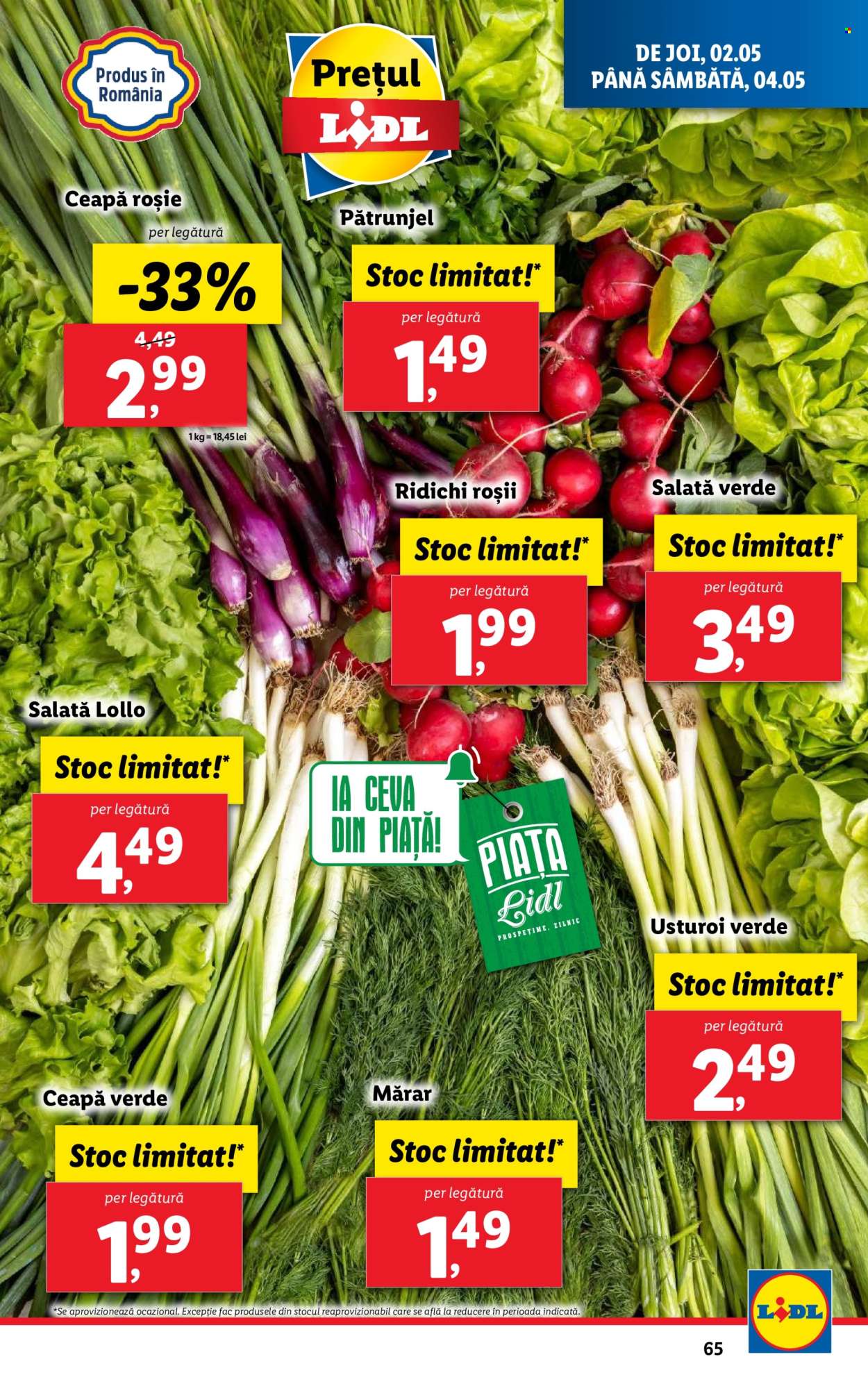 thumbnail - Cataloage Lidl - 29.04.2024 - 04.05.2024 - Produse în vânzare - salată, ceapă roșie, ridichi roşi, ceapă verde, pătrunjel, usturoi verde, ceapă. Pagina 65.