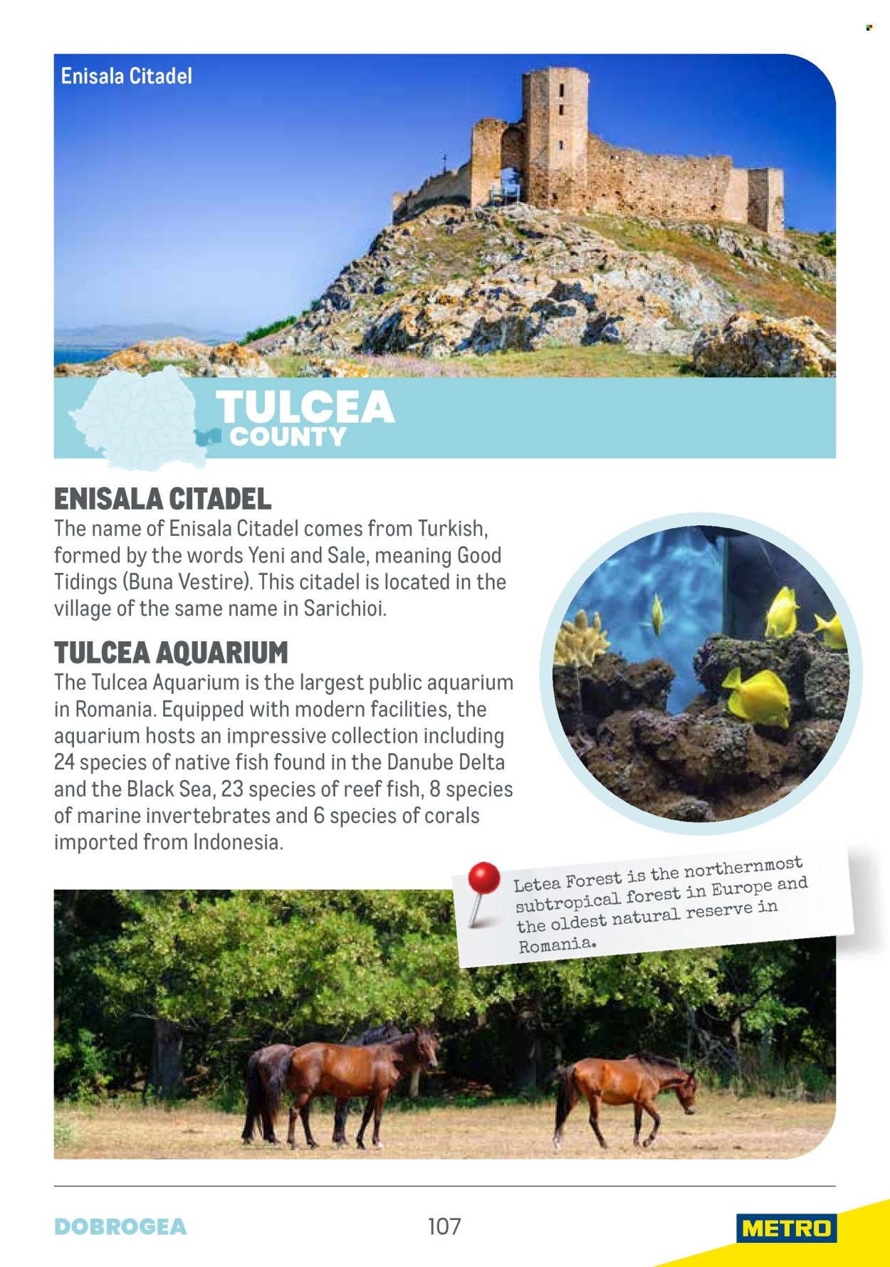 Catalog Metro. Pagina 1