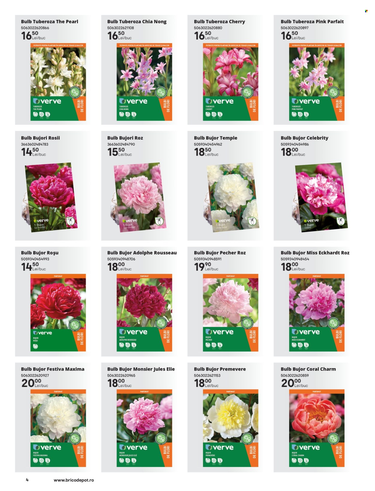Catalog Brico Depot - 14.02.2025 - 31.05.2025. Pagina 1