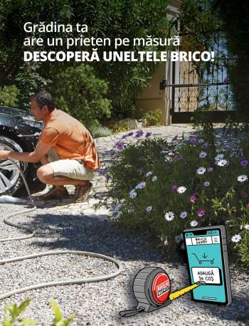 Cataloage Brico Depot.
