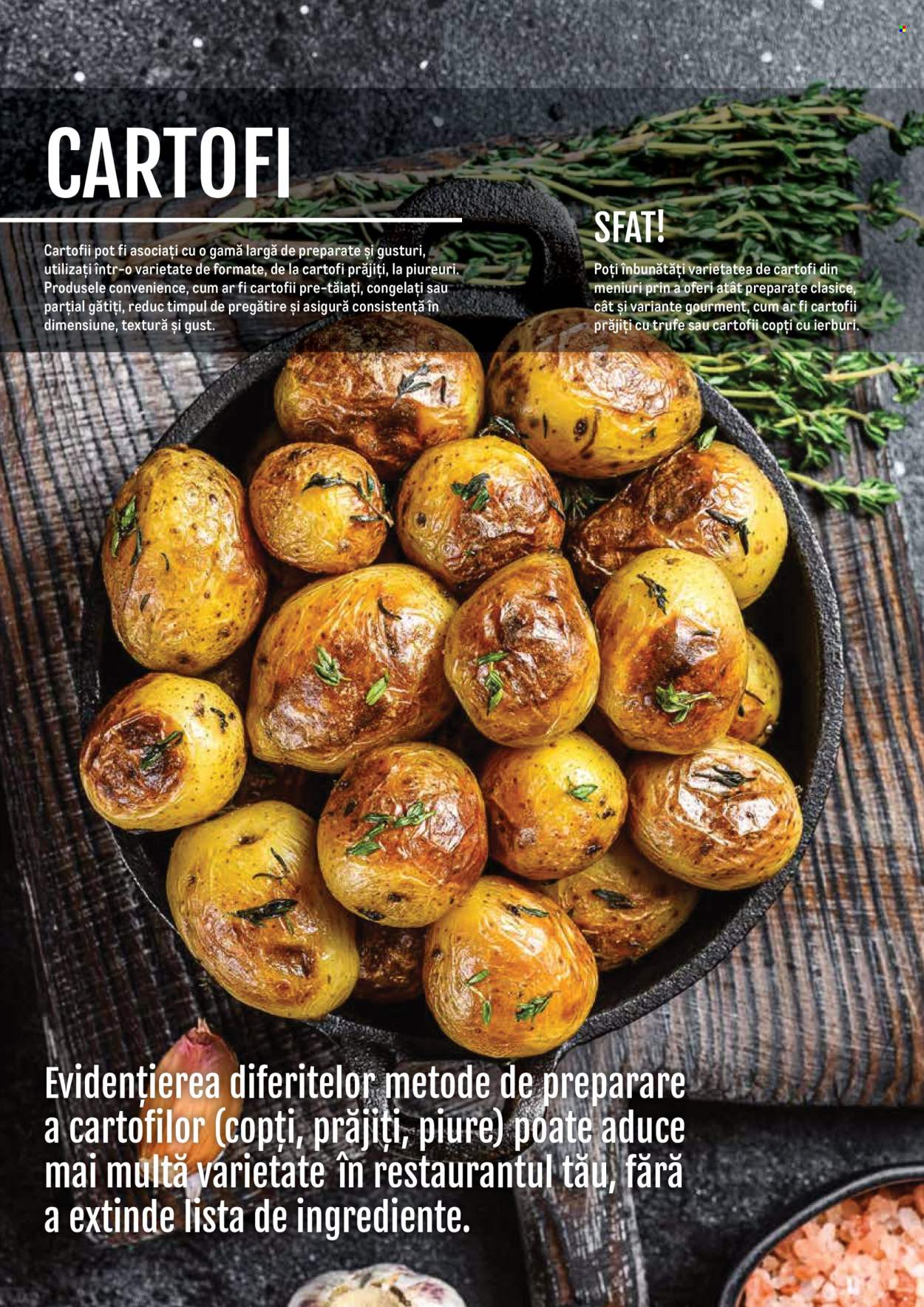 Catalog Metro - 14.11.2024 - 31.12.2025. Pagina 1