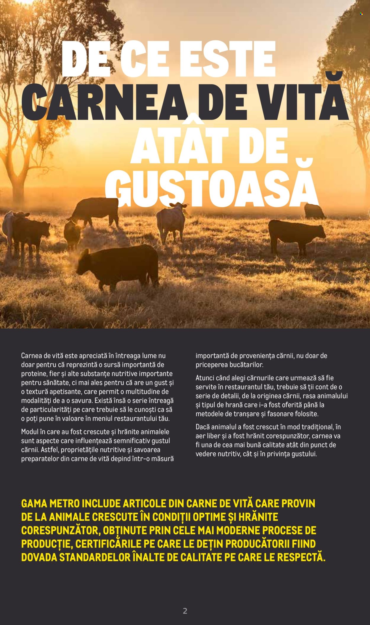 Catalog Metro - 20.06.2022 - 31.12.2025. Pagina 1
