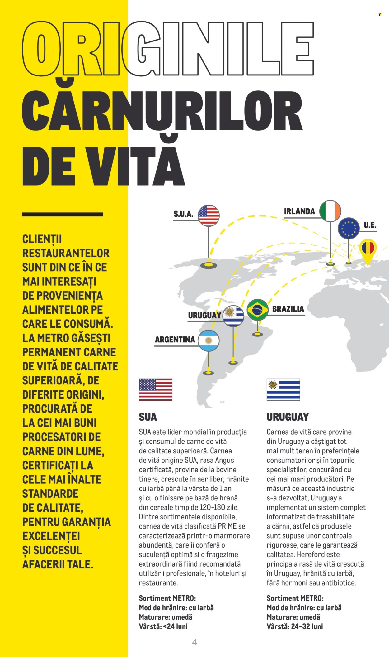 Catalog Metro - 20.06.2022 - 31.12.2025. Pagina 1