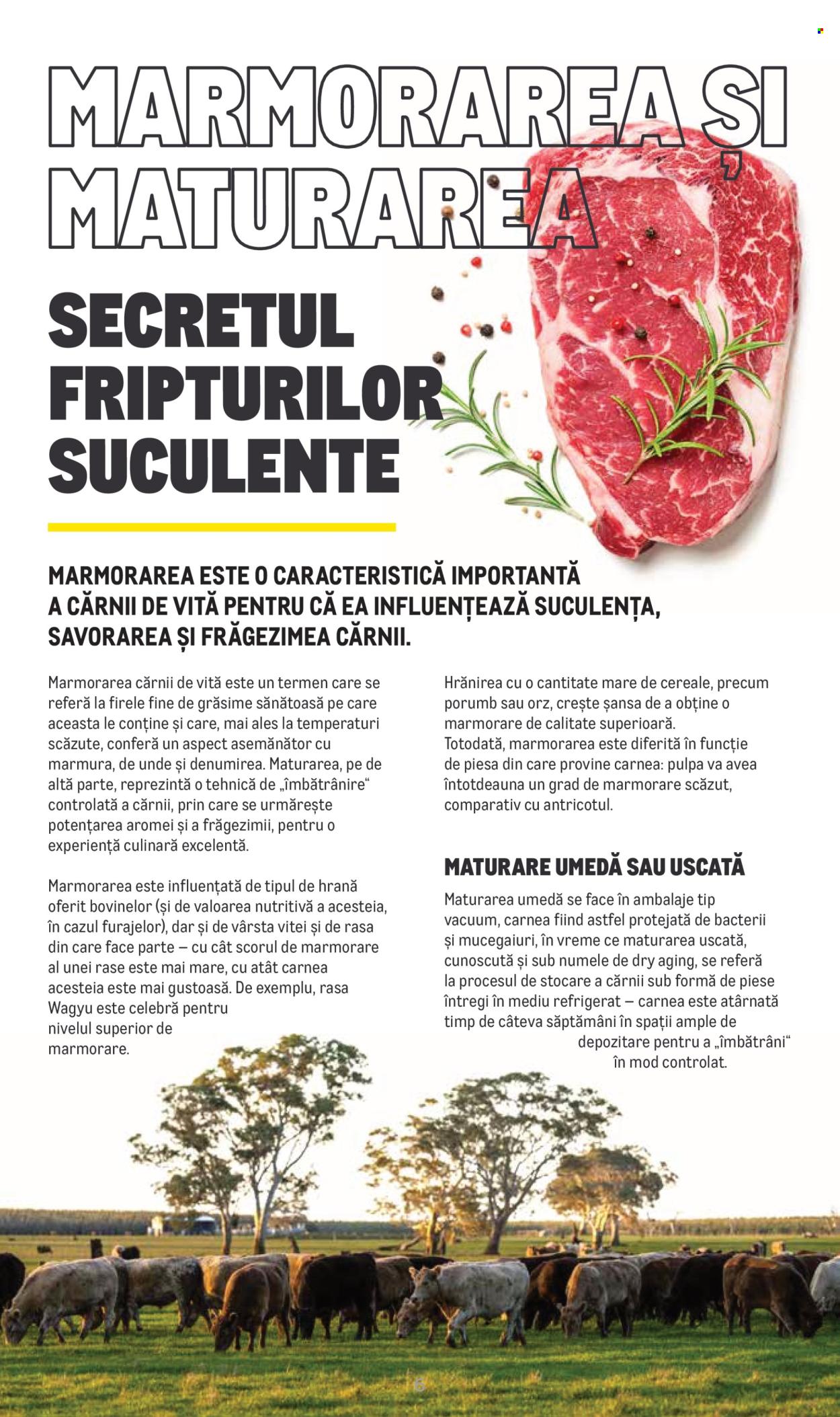 Catalog Metro - 20.06.2022 - 31.12.2025. Pagina 1