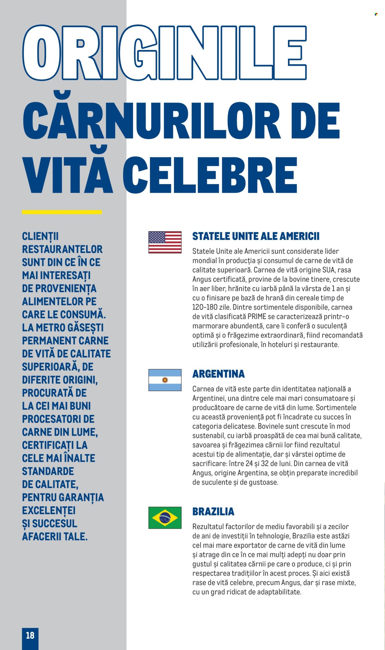 Catalog Metro - 01.01.2024 - 31.12.2025. Pagina 1