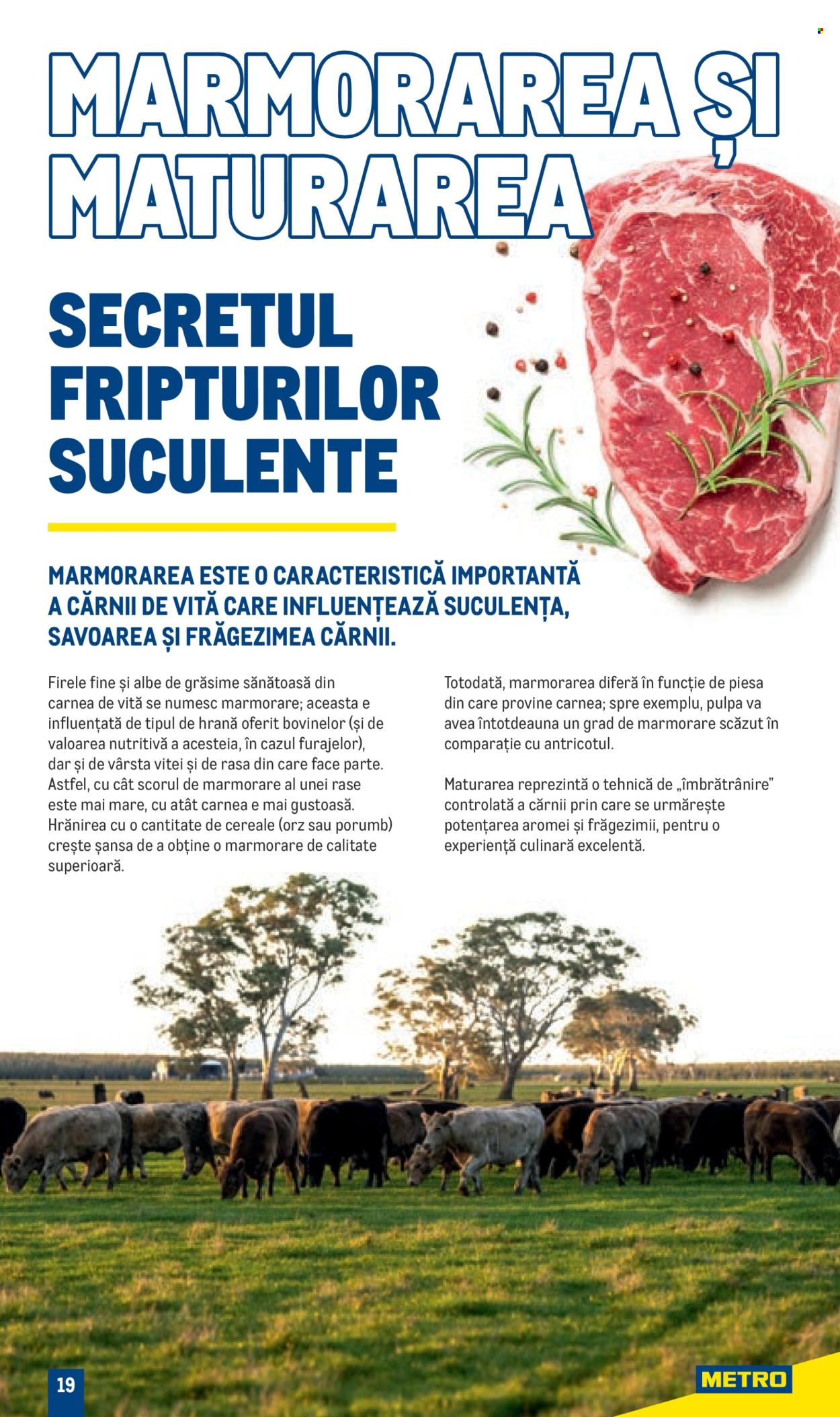 Catalog Metro - 01.01.2024 - 31.12.2025. Pagina 1