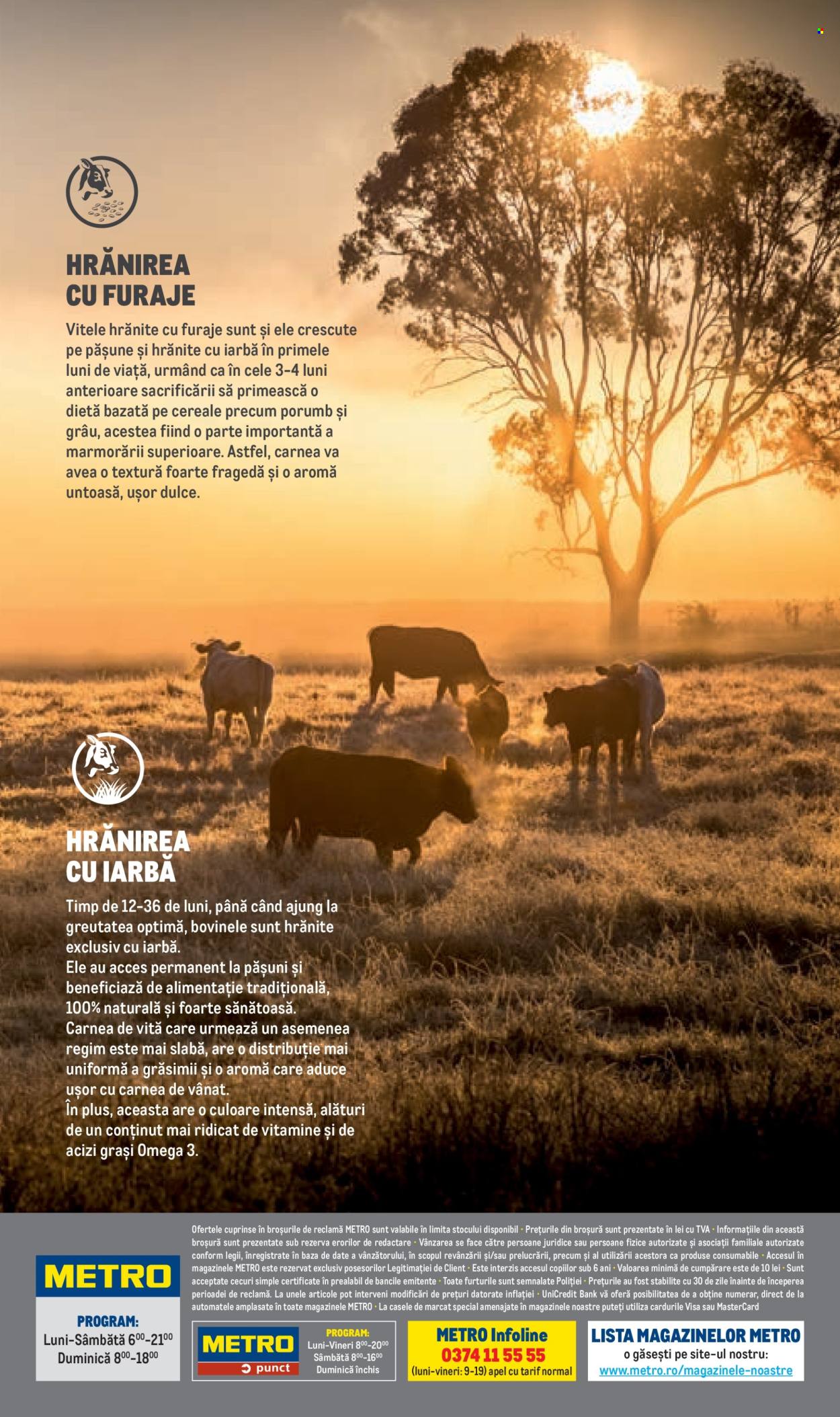 Catalog Metro - 01.01.2024 - 31.12.2025. Pagina 1