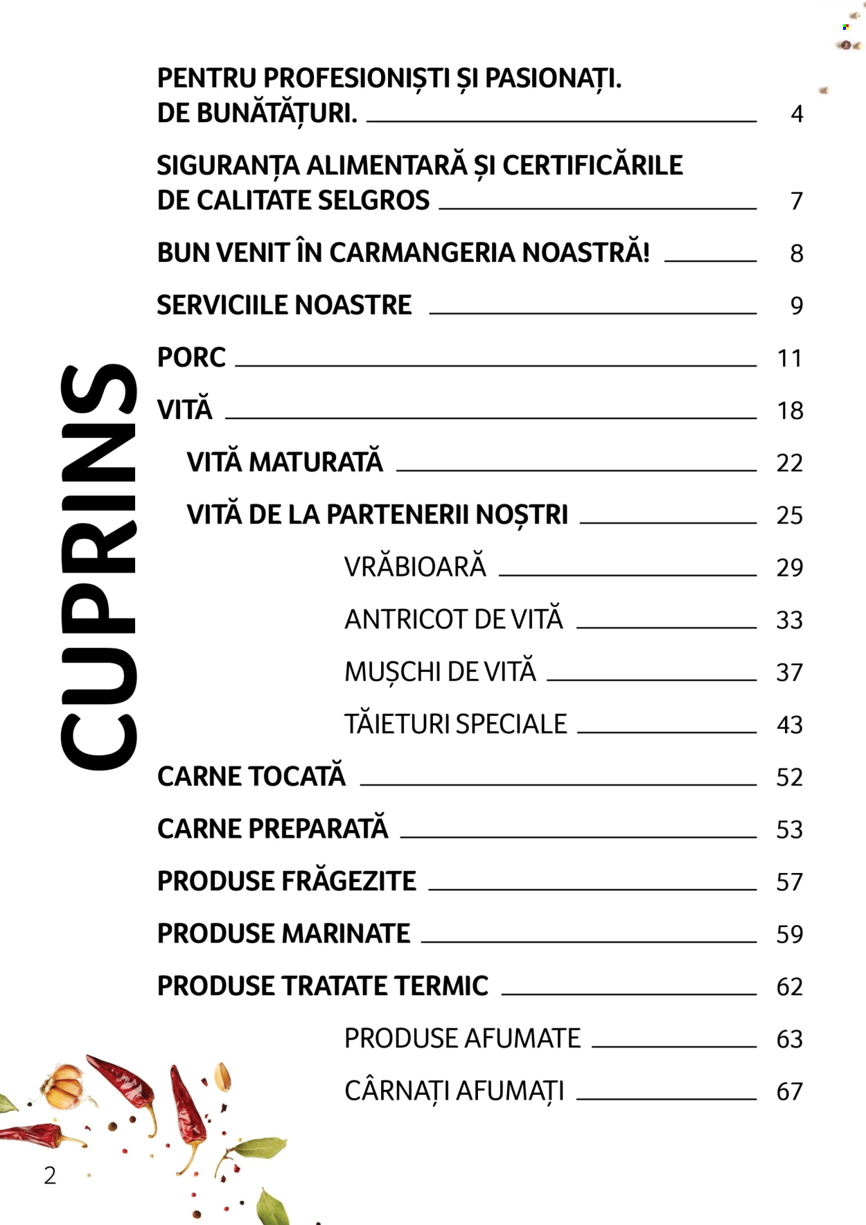 Catalog Selgros. Pagina 1