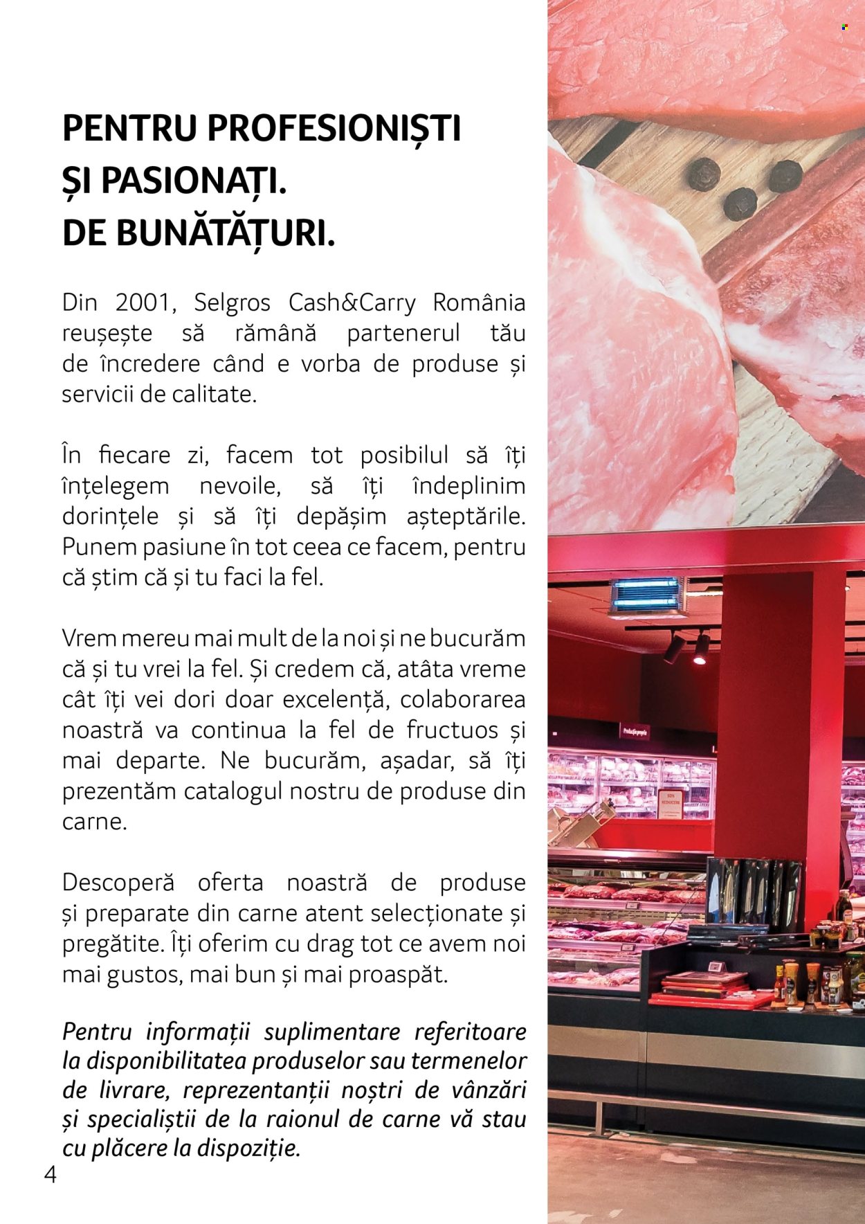 Catalog Selgros. Pagina 1