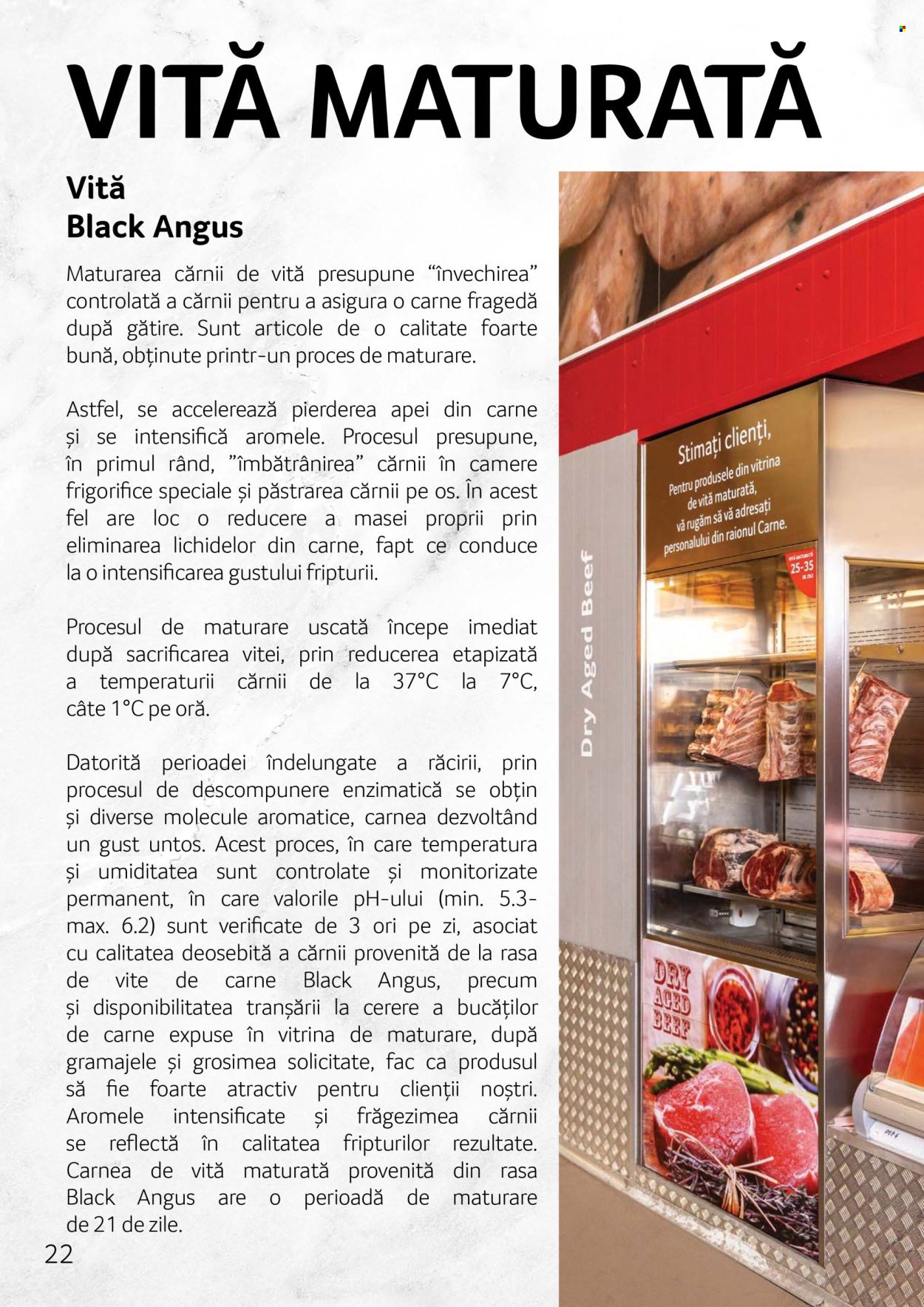 Catalog Selgros. Pagina 1