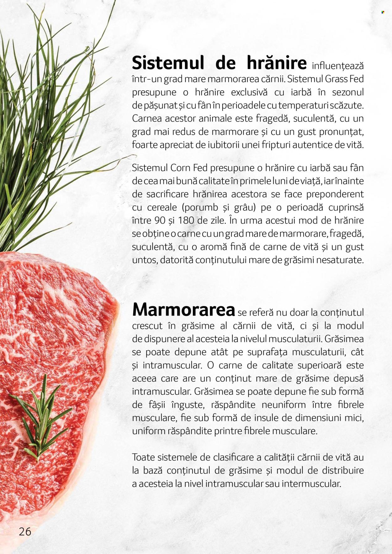 Catalog Selgros. Pagina 1