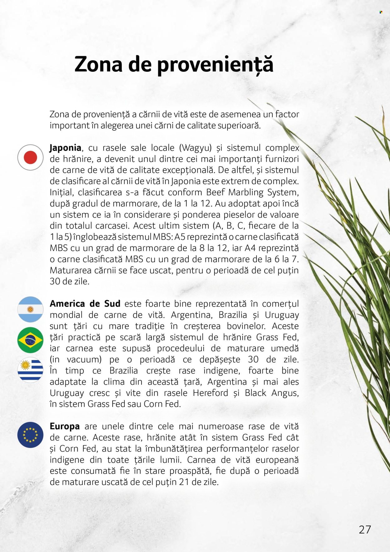 Catalog Selgros. Pagina 1