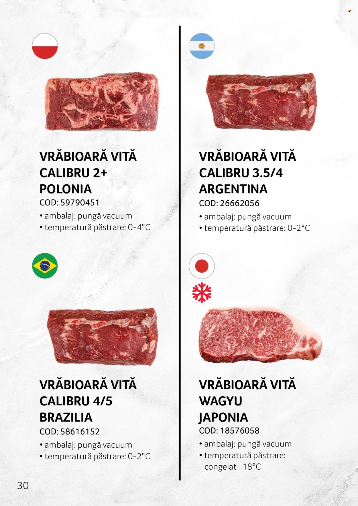 Catalog Selgros. Pagina 1
