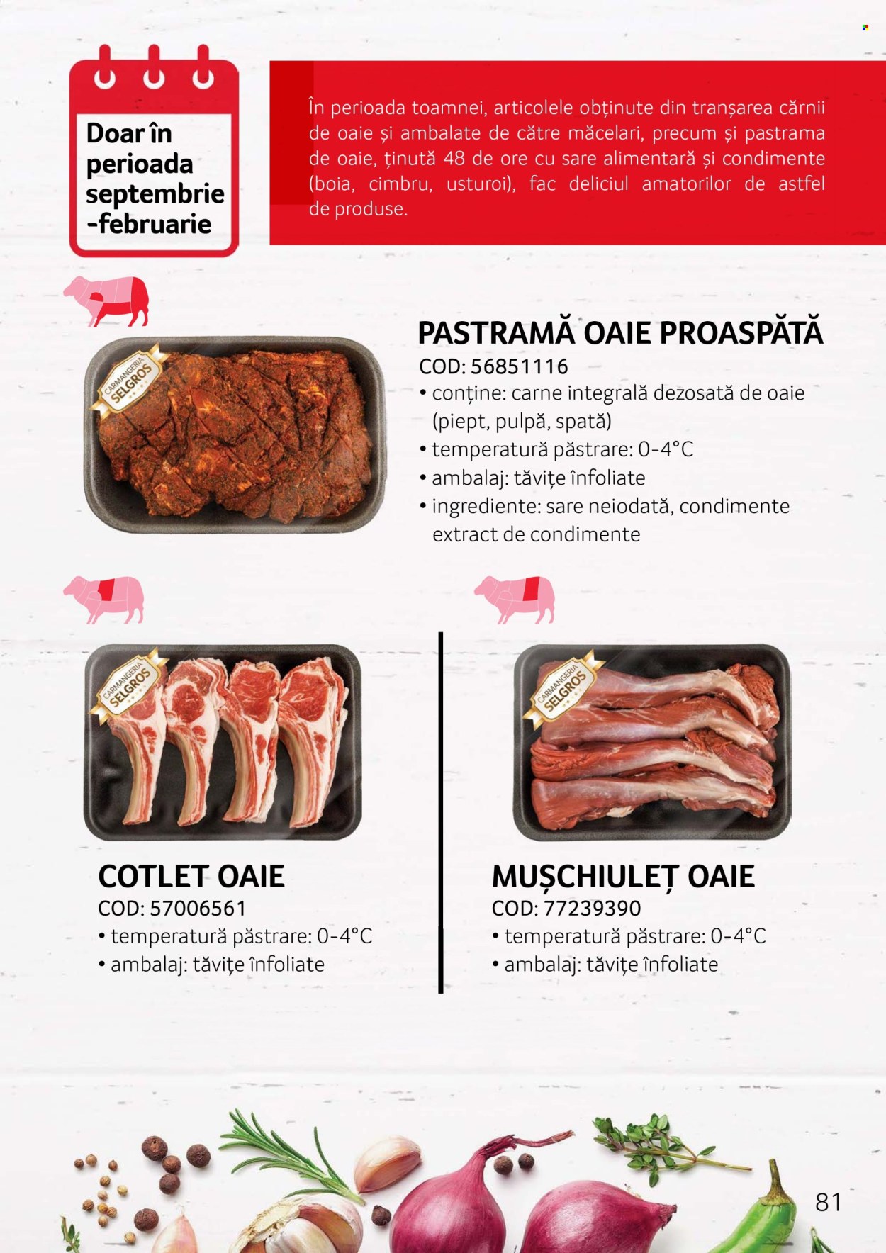 Catalog Selgros. Pagina 1