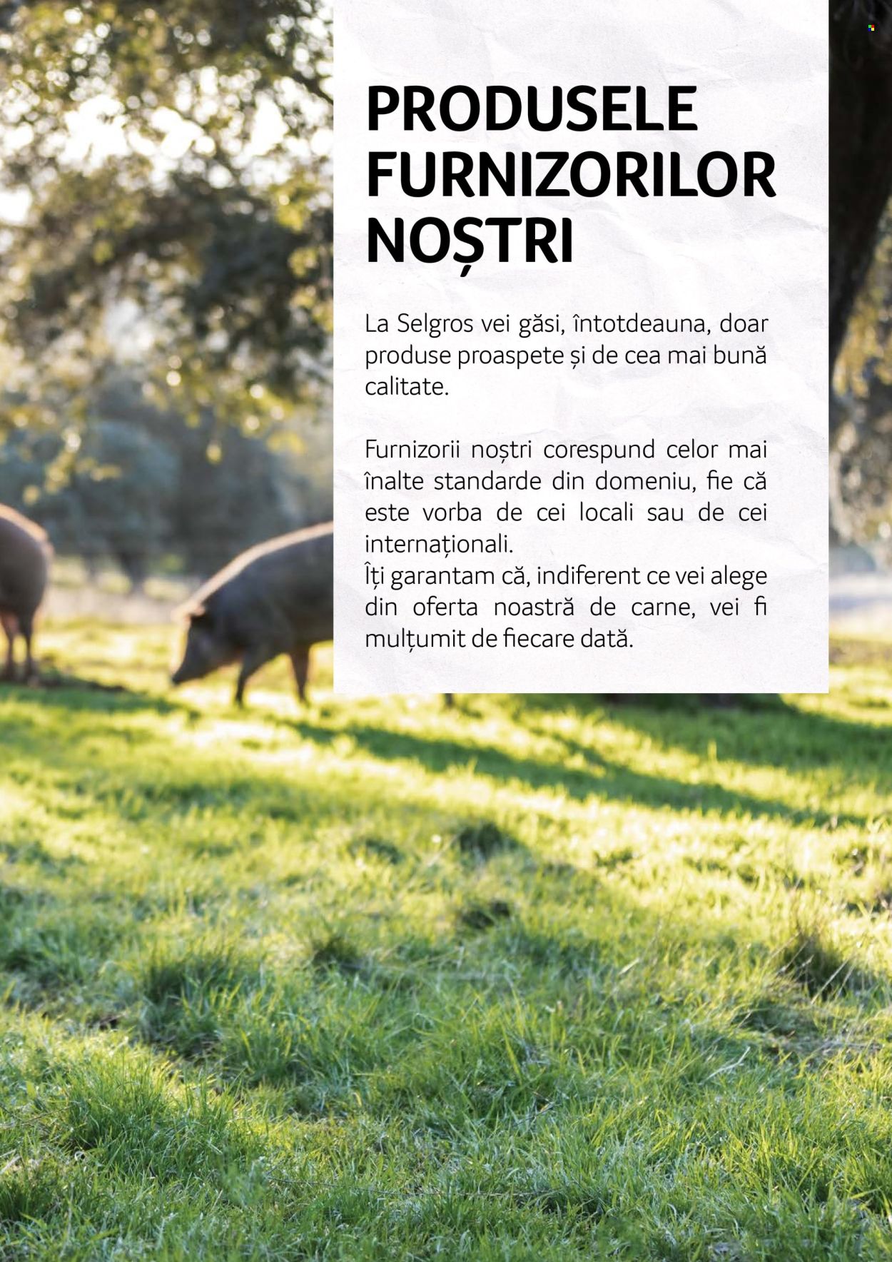 Catalog Selgros. Pagina 1