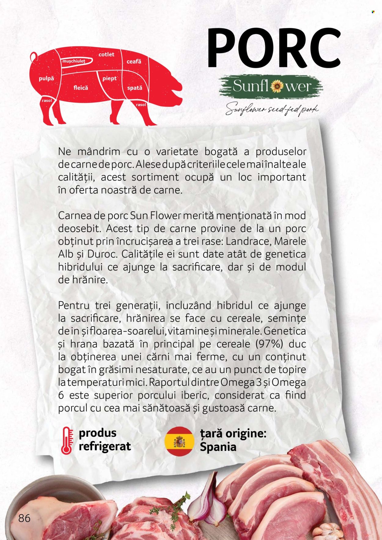 Catalog Selgros. Pagina 1