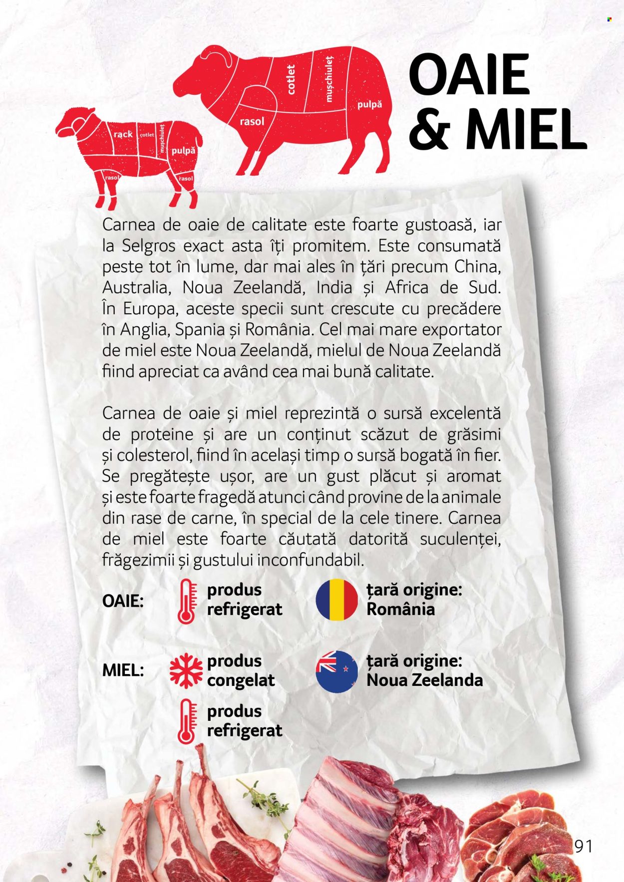 Catalog Selgros. Pagina 1