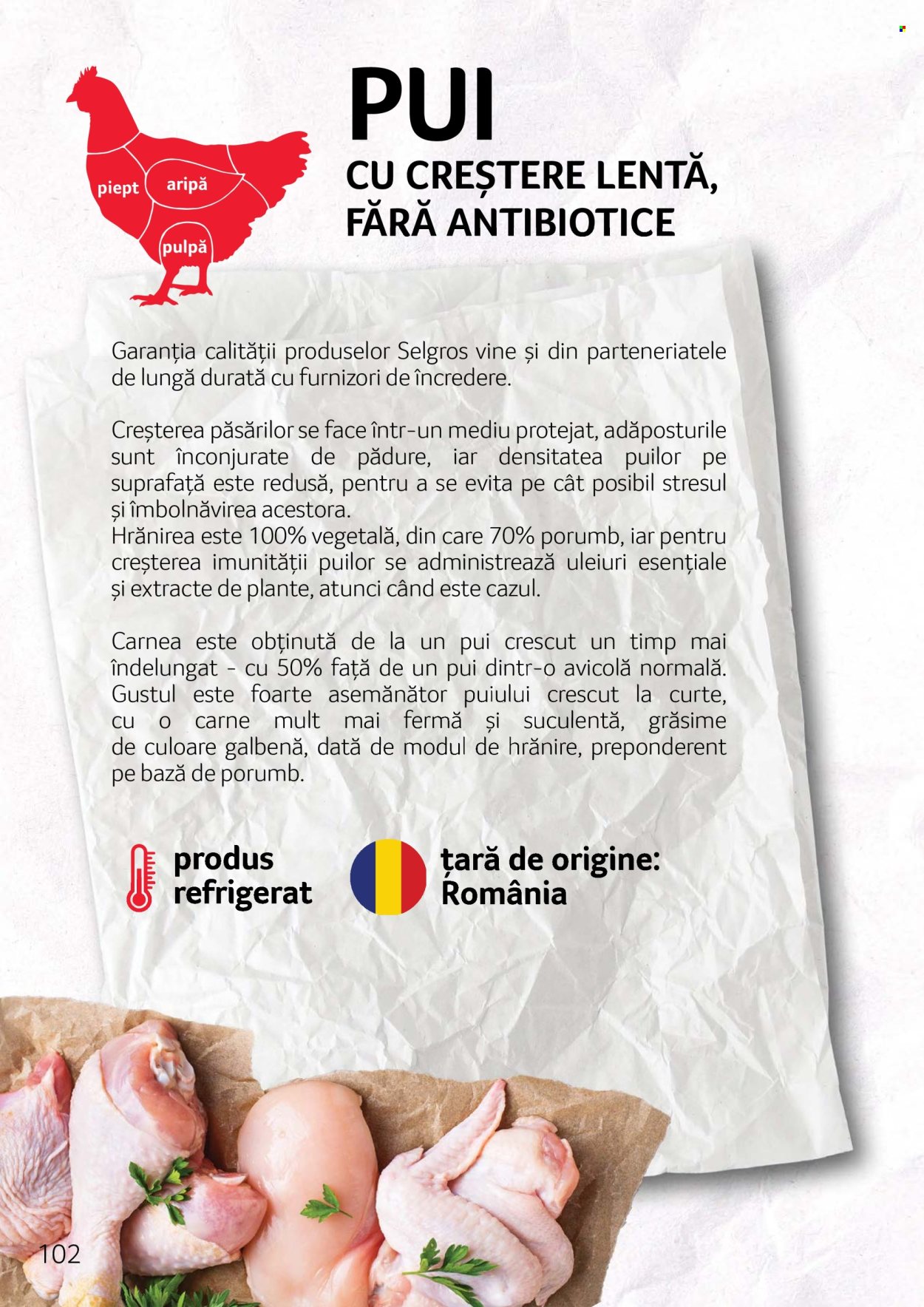 Catalog Selgros. Pagina 1