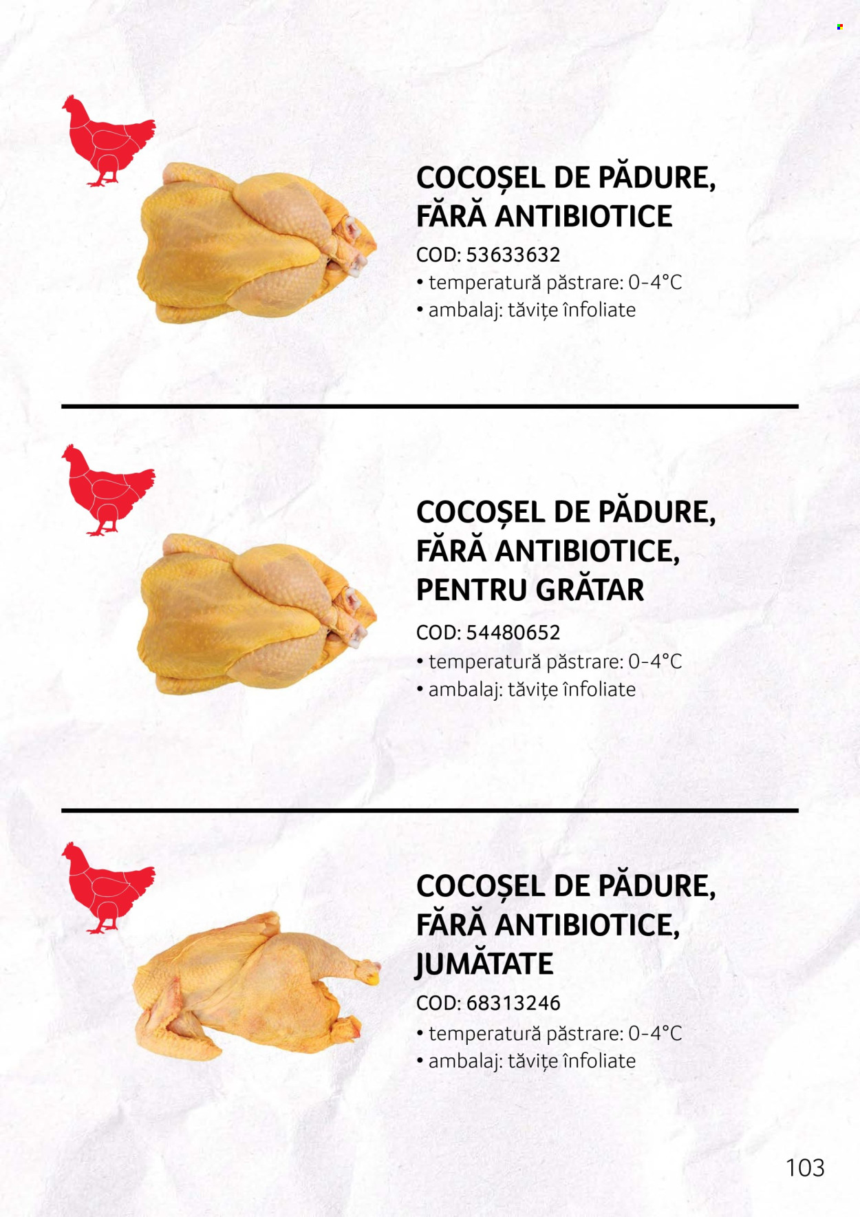 Catalog Selgros. Pagina 1