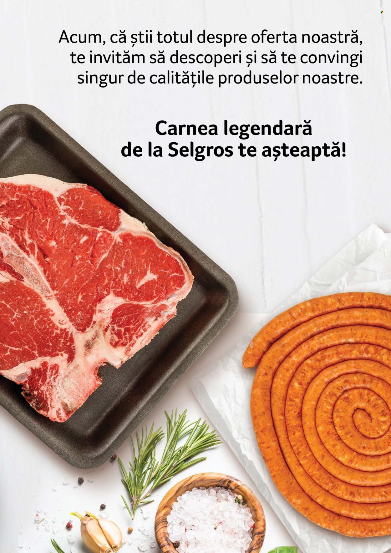 Catalog Selgros. Pagina 1