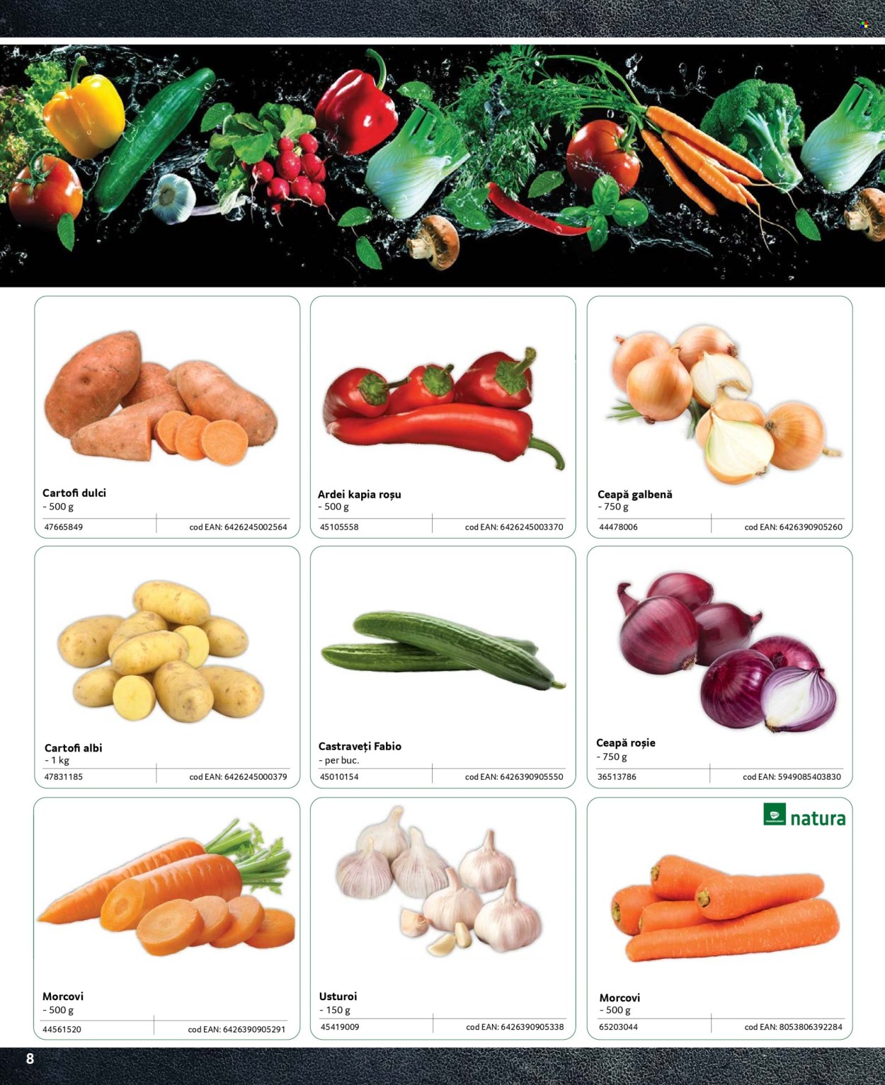 Catalog Selgros. Pagina 1