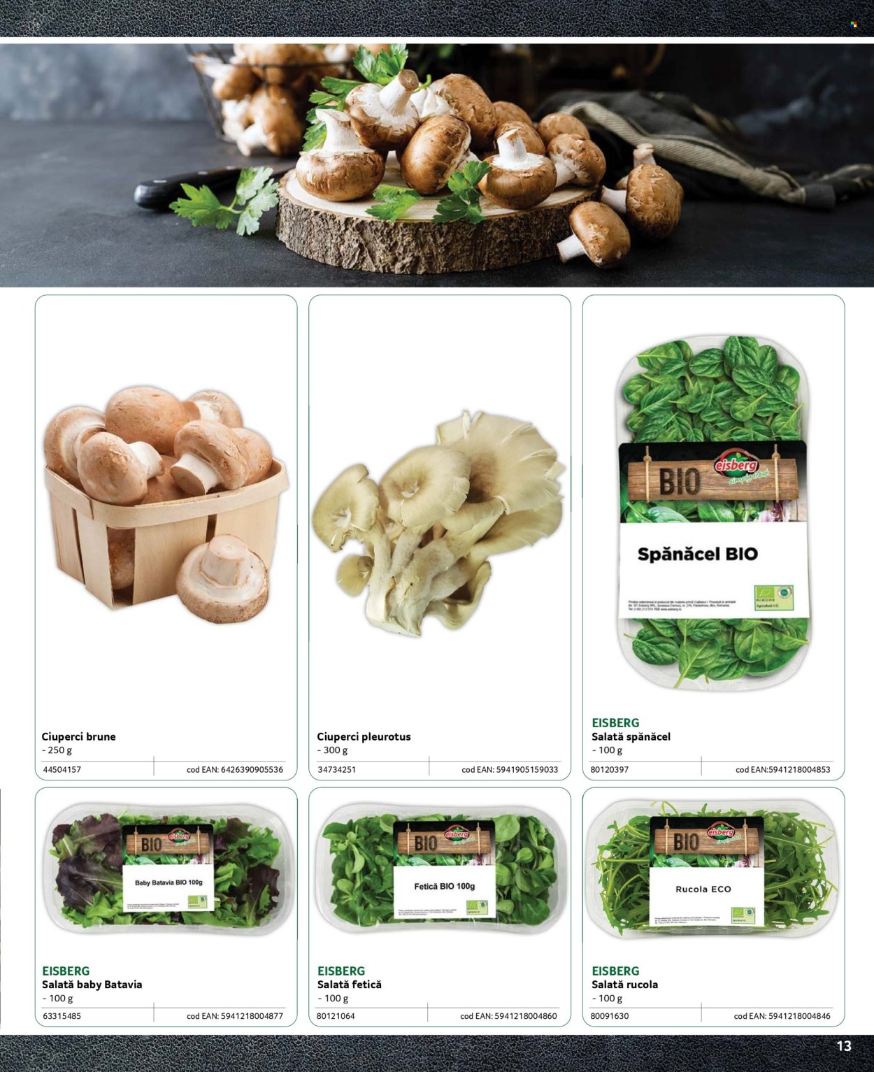 Catalog Selgros. Pagina 1