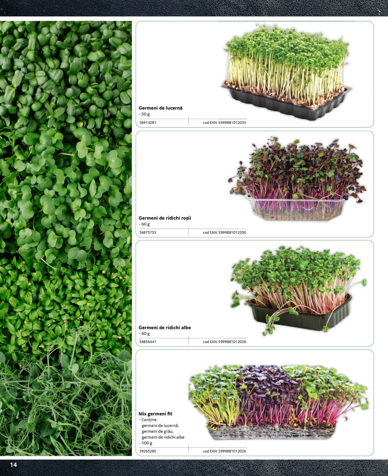 Catalog Selgros. Pagina 1