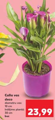 Calla vas deco
