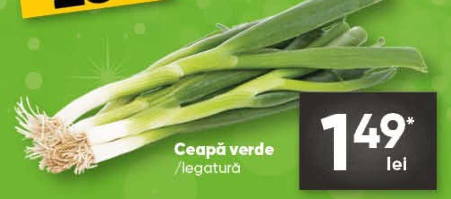Ceapă verde