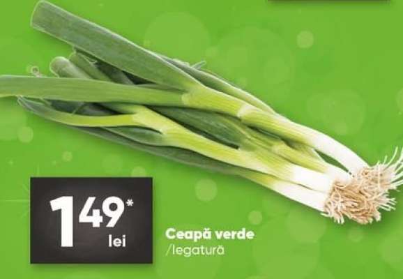Ceapă verde