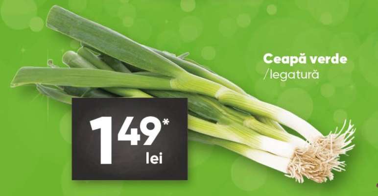 Ceapă verde