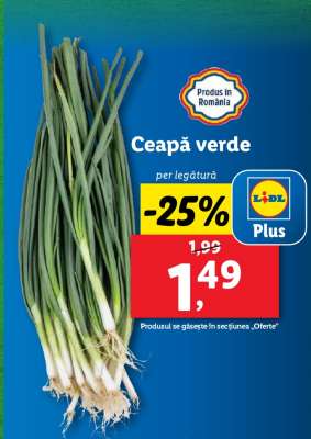 Ceapă verde