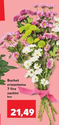 Buchet crizanteme 7 fire santini