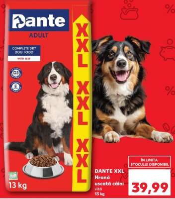 DANTE XXL