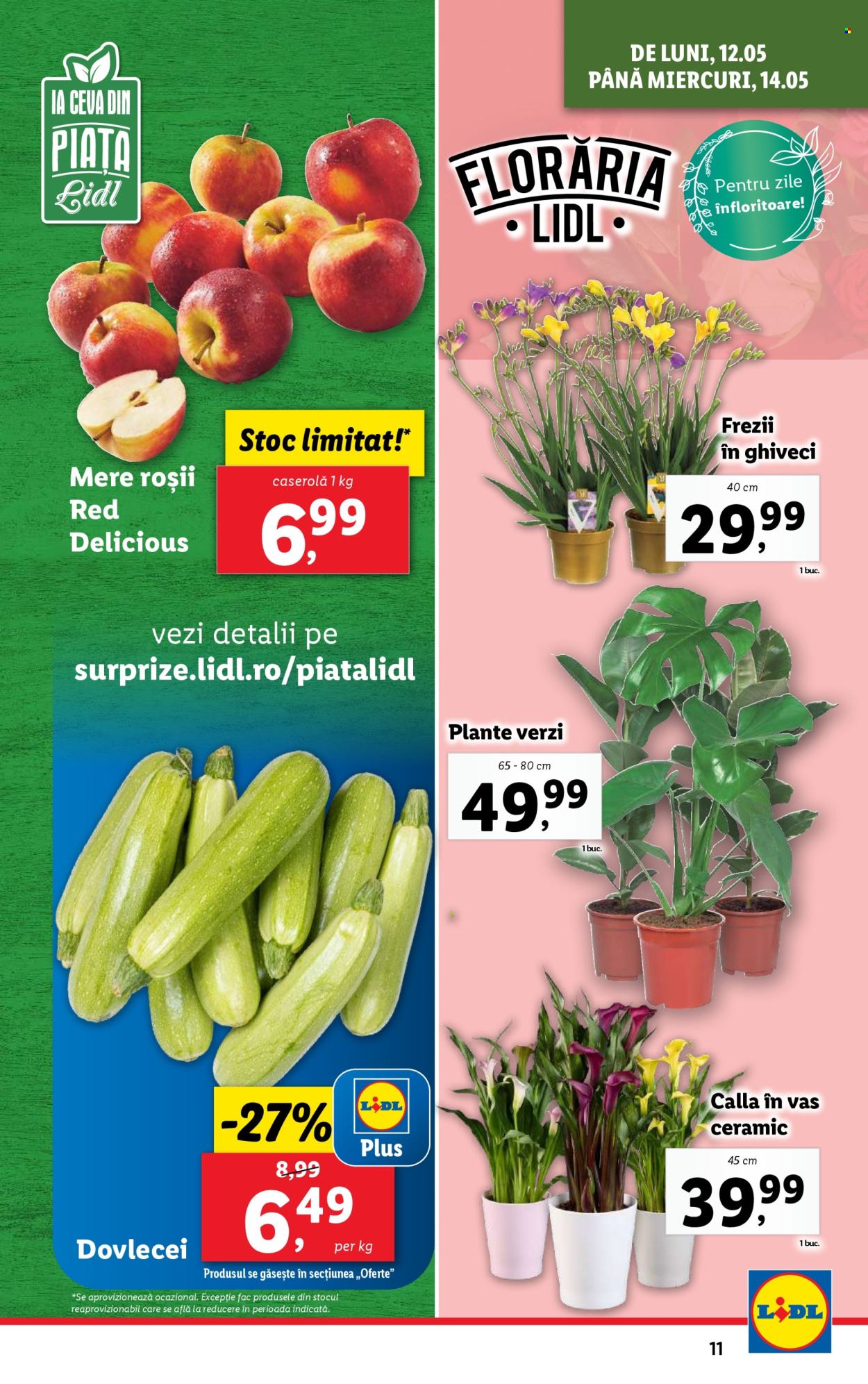 Catalog Lidl - 12.05.2025 - 18.05.2025. Pagina 1