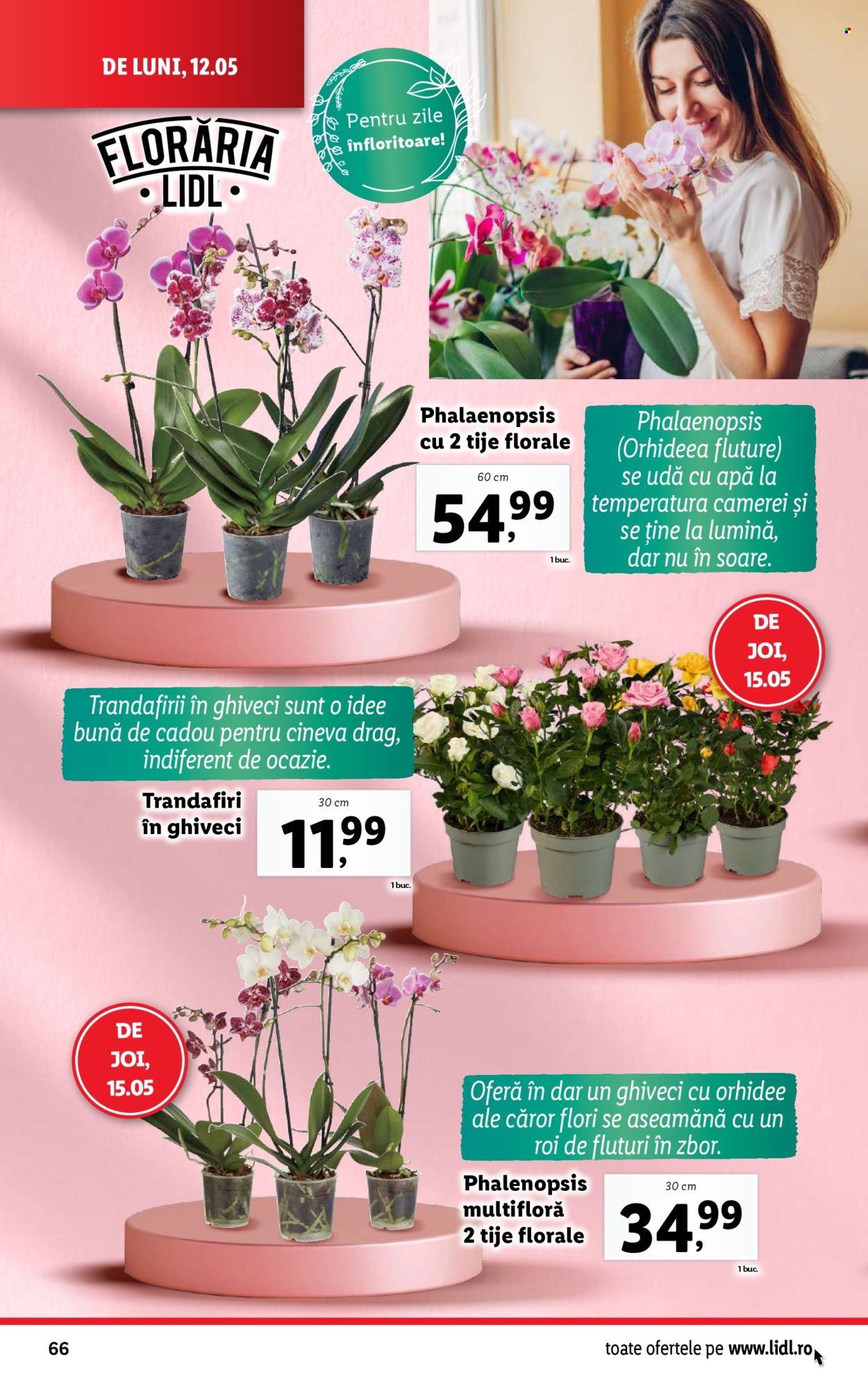 Catalog Lidl - 12.05.2025 - 18.05.2025. Pagina 1