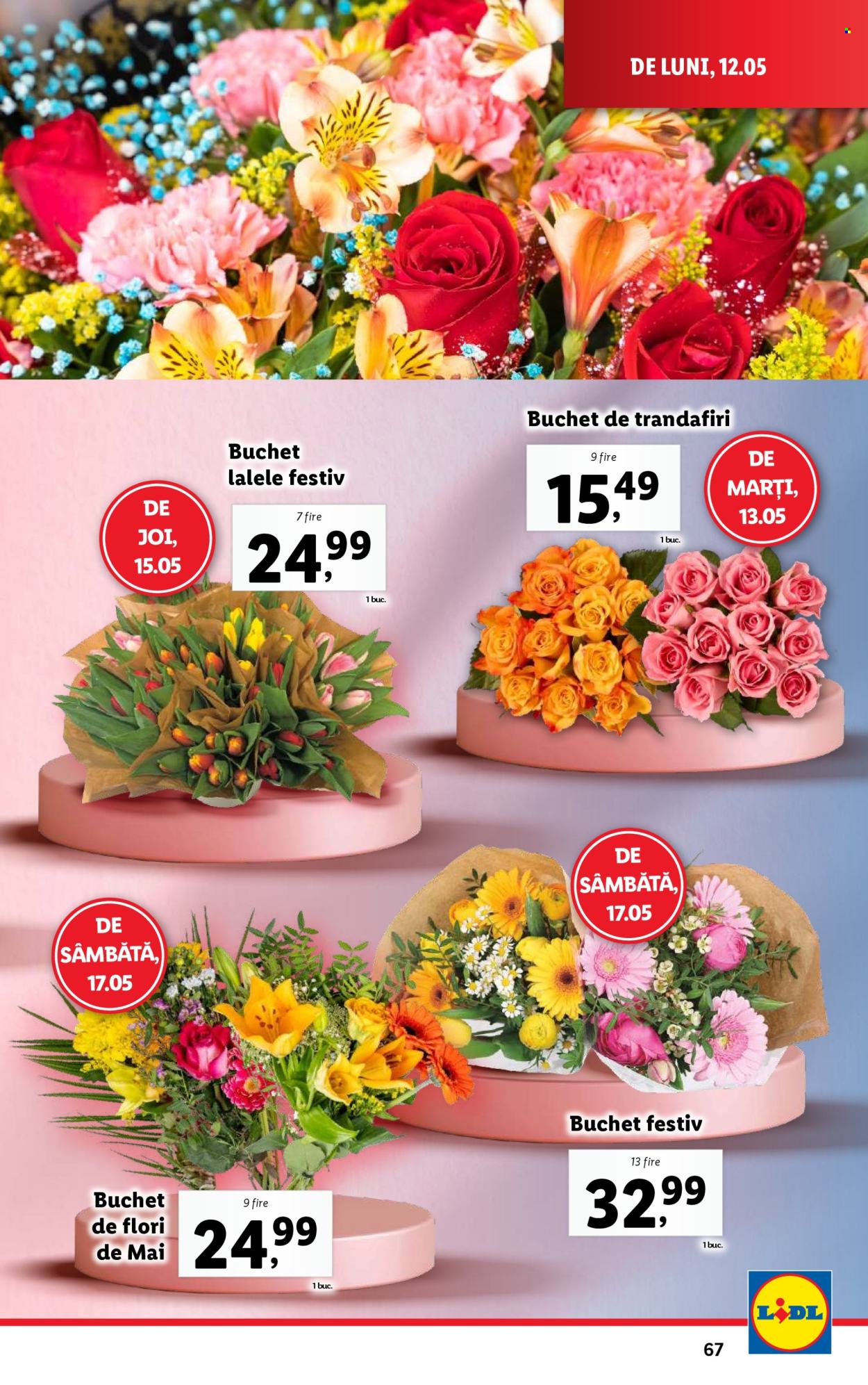 Catalog Lidl - 12.05.2025 - 18.05.2025. Pagina 1