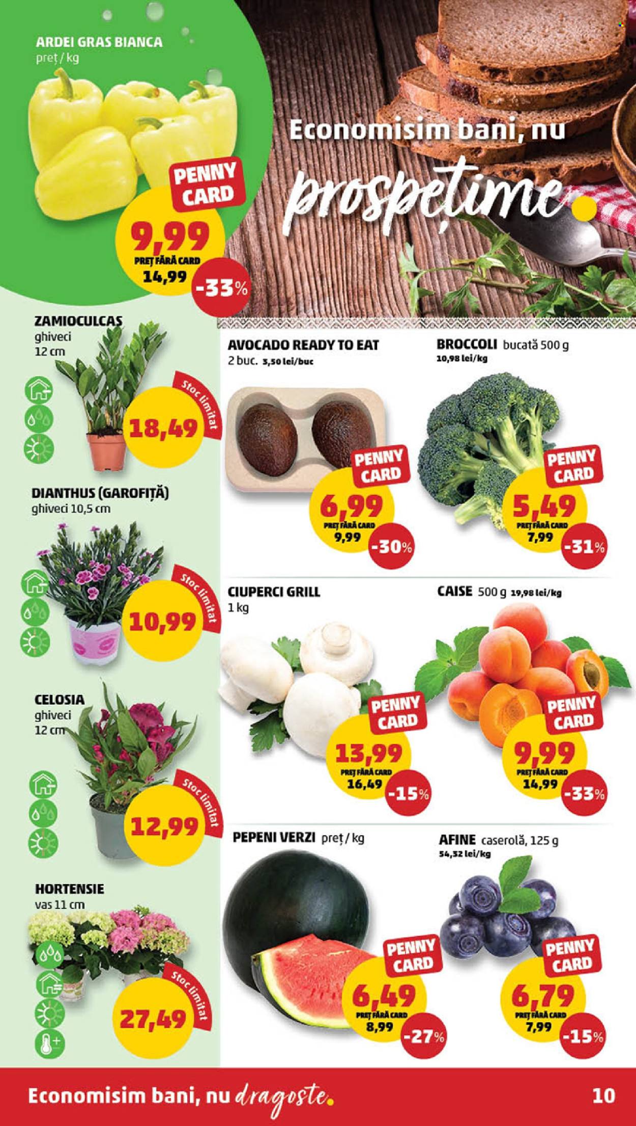 Catalog PENNY - 07.05.2025 - 13.05.2025. Pagina 1