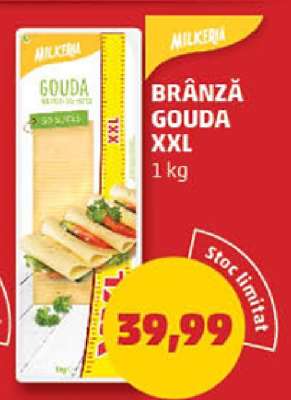 Brânză Gouda XXL