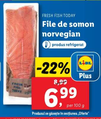 File de somon norvegian