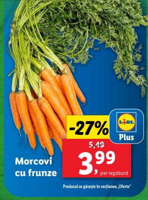 Morcovi cu frunze