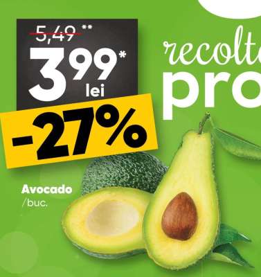 Avocado