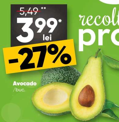 Avocado