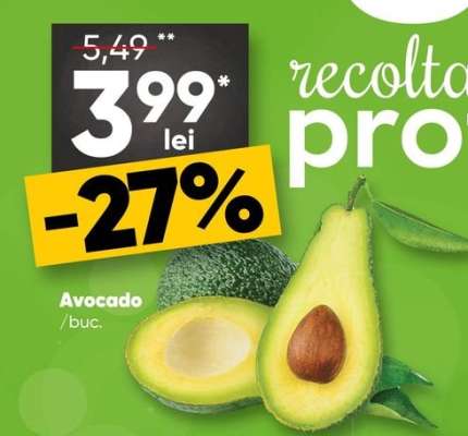 Avocado