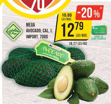 Mega Avocado, Cal. I, Import, 700g