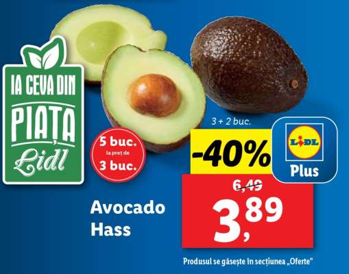 Avocado Hass