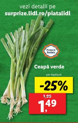 Ceapă verde