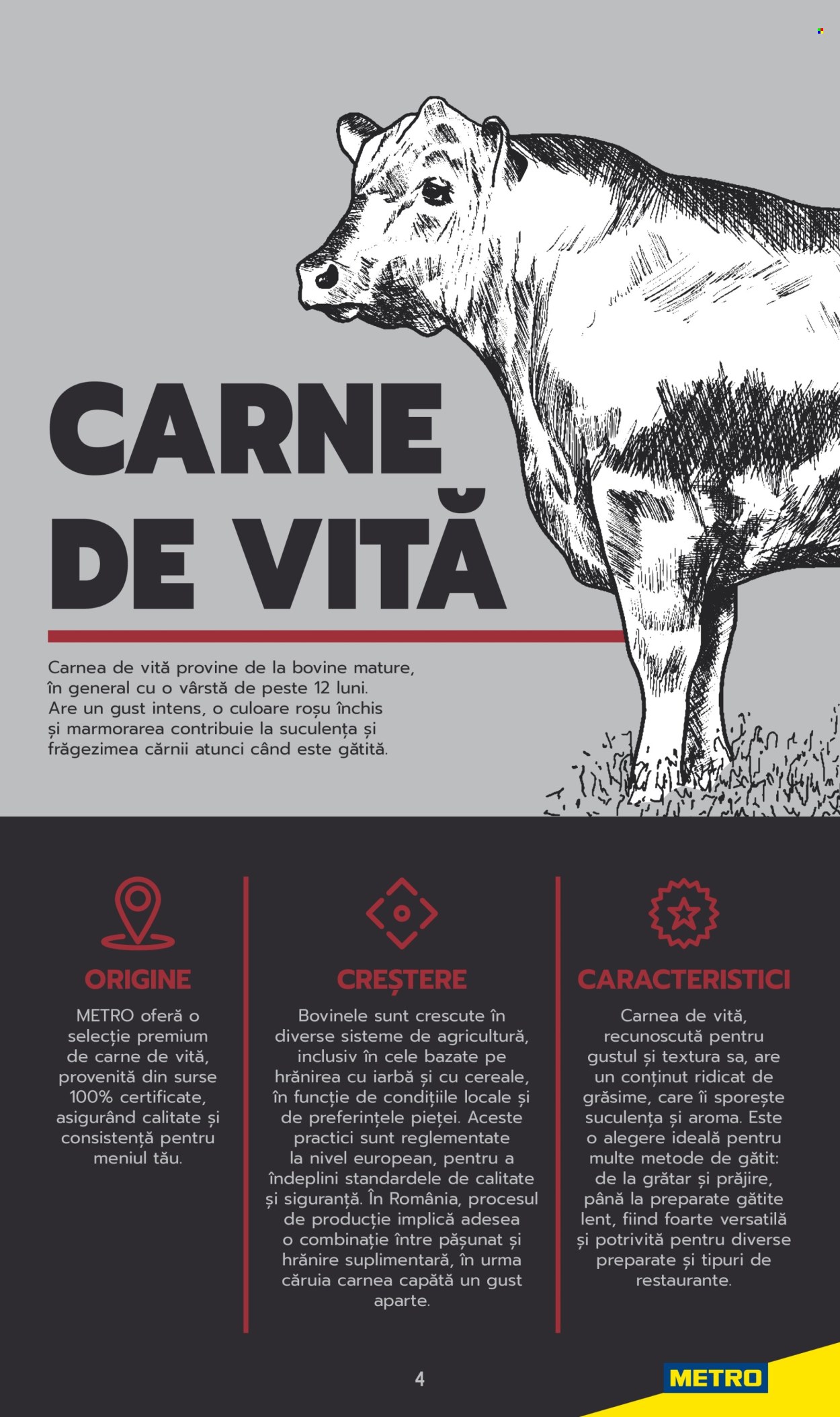 Catalog Metro. Pagina 4