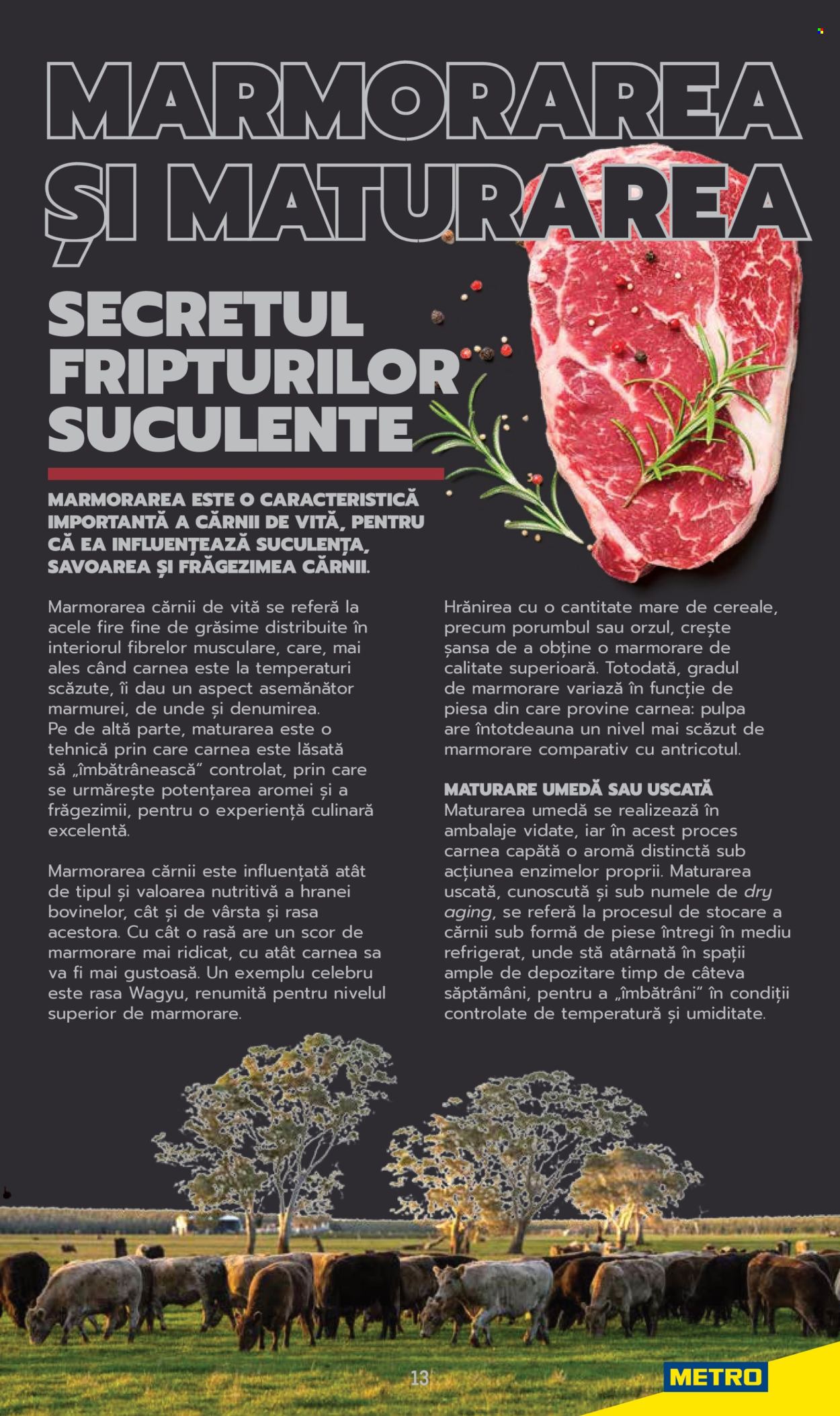 Catalog Metro. Pagina 13